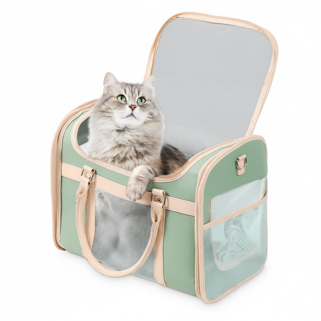 Cat carrier: the Voyager